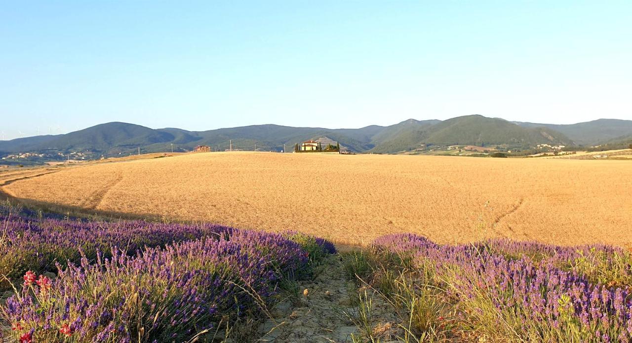 Agriturismo L'Impero Santa Luce Bagian luar foto