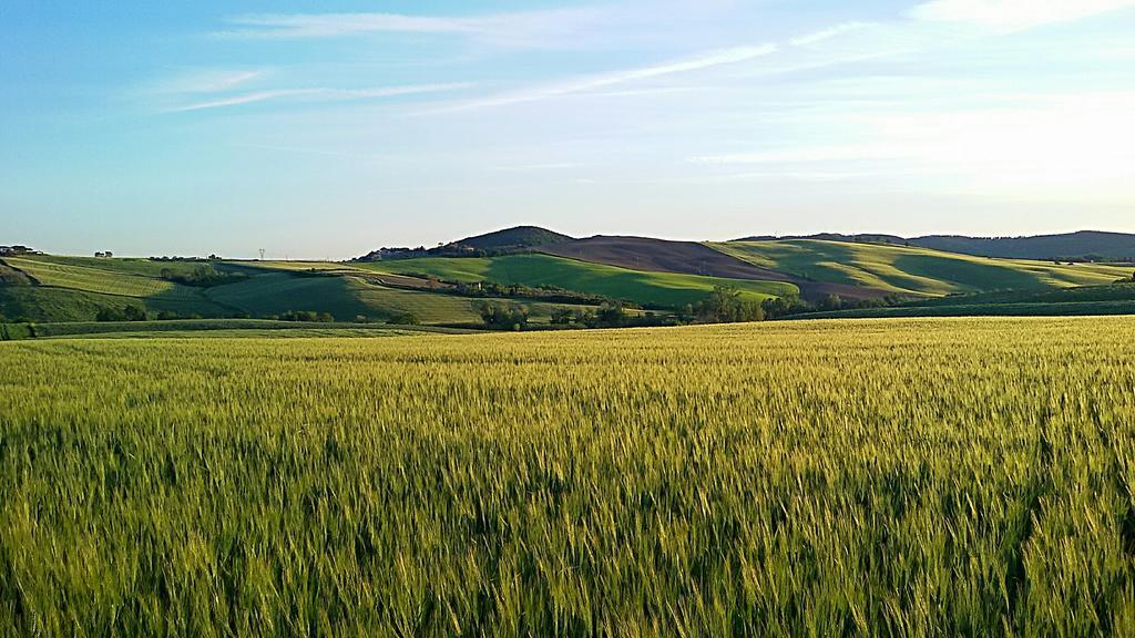 Agriturismo L'Impero Santa Luce Bagian luar foto