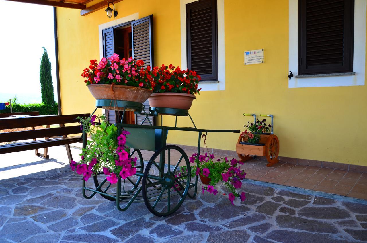 Agriturismo L'Impero Santa Luce Bagian luar foto
